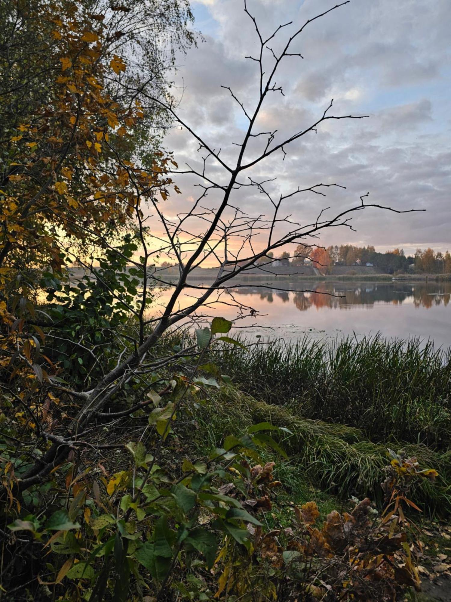Hytte Na Wyspie -,,Roztoczanskie Morze" Kulikow Buitenkant foto
