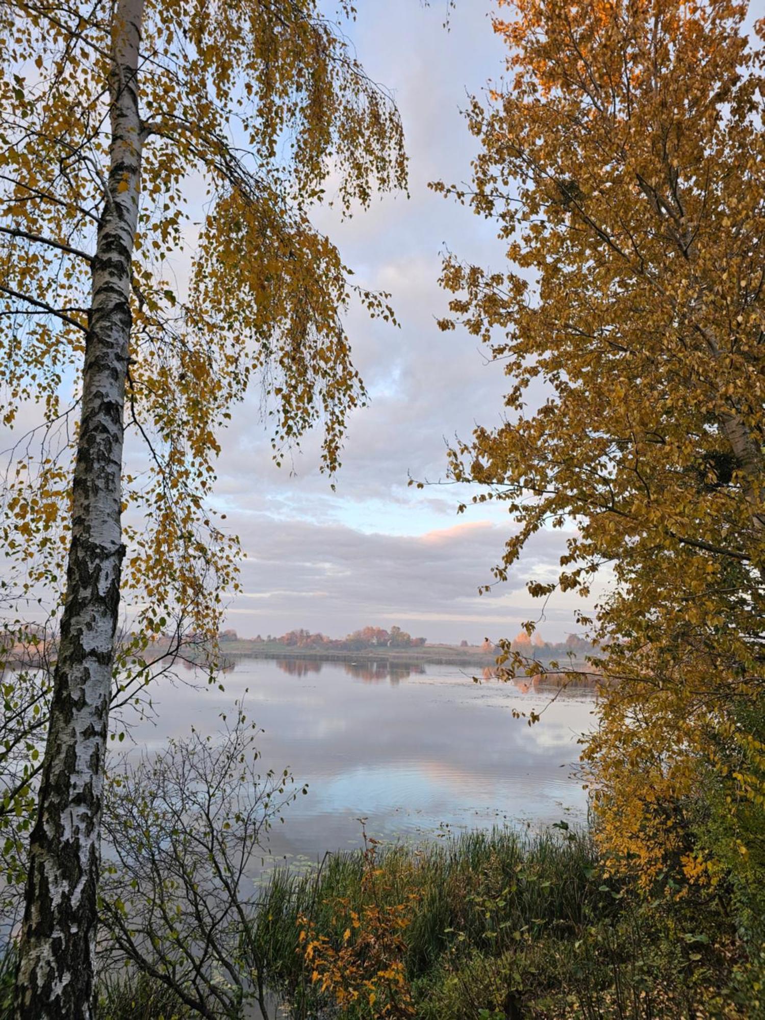 Hytte Na Wyspie -,,Roztoczanskie Morze" Kulikow Buitenkant foto